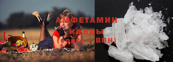 прущие крисы Пересвет