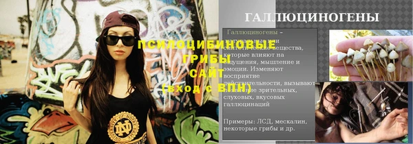 кокс Покачи