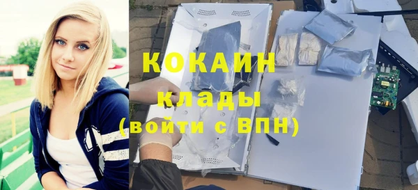 прущие крисы Пересвет