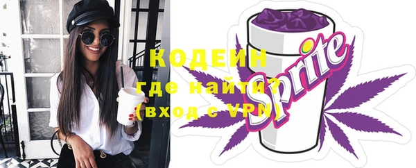мдпв Пестово