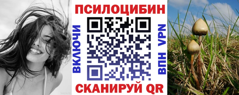 Галлюциногенные грибы прущие грибы  купить наркоту  Сокол 