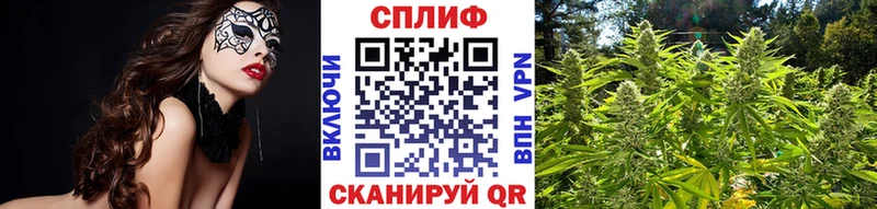 гидра ссылки  Сокол  Марихуана индика 
